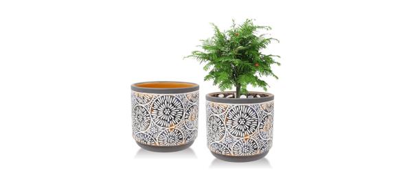 Vivimee 2 Pack Ceramic Plant Pots