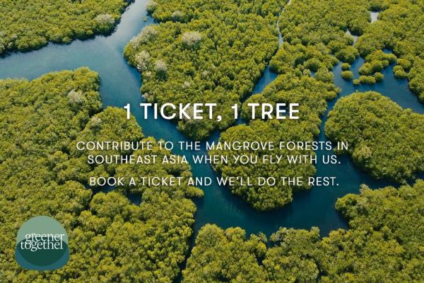 绿色之旅：国泰航空携手社区，共创气候适应力强的未来——第三次红树林种植计划再启航